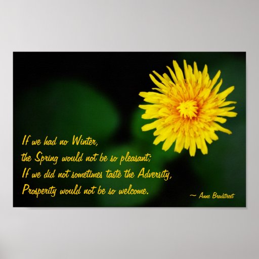 Fleur de pissenlit avec l'affiche de citation d'An
