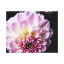 Fleur de ressort toile tendue sur châssis