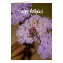 Fleur en épi pourpre ; Joyeux anniversaire Cartes