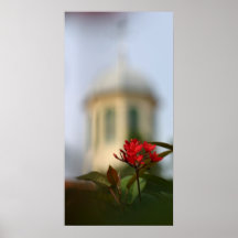 Fleur et bureau de poste rouges posters