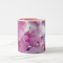 Fleur fleurissante de prunier mug