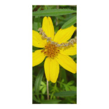 Fleur jaune dans l'herbe motif pour double carte