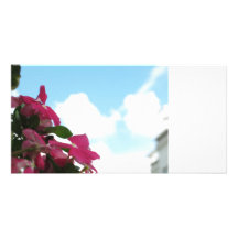 fleur modèle pour photocarte