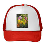 Fleur - muflier - grâce casquettes