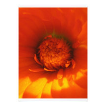 Fleur orange invitations personnalisées