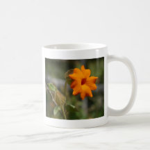 fleur orange tasse à café