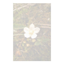Fleur pleine d'espoir motifs pour papier à lettre