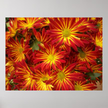 FLEUR POSTERS