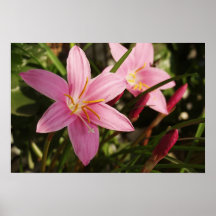 Fleur Poster