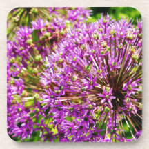 Fleur pourpre de Pom Pom Sous-bocks