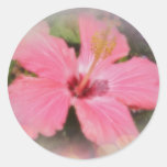 Fleur rose de ketmie autocollants ronds