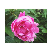 Fleur rose de l'amour impressions sur toile