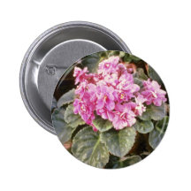 Fleur "rougeoyante" rose de Saintpaulia (violette  Pin's Avec Agrafe