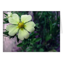 Fleur sauvage floral de carte de note