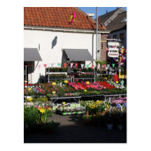 Fleuriste Cartes Postales