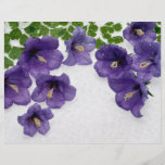 Fleurs abstraites prospectus en couleur