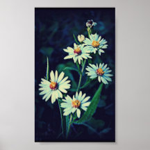Fleurs antiques affiche