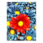 Fleurs bleues colorées de marguerites de Gerber de Cartes Postales