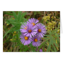 Fleurs Carte De Vœux