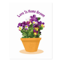 Fleurs Carte Postale