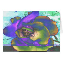 Fleurs Cartes De Vœux