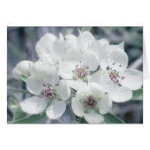 Fleurs dans la lumière de matin carte de vœux