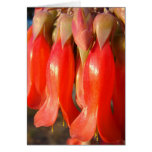 Fleurs de Bell rouges Cartes De Vœux