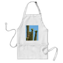 Fleurs de cactus de Saguaro Tabliers