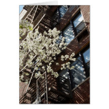 Fleurs de cerisier de village aussi carte de vœux
