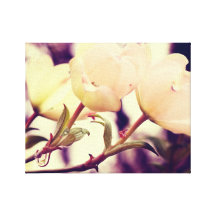 Fleurs de cornouiller impression sur toile