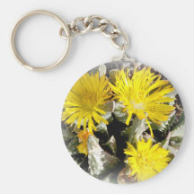 Fleurs de floraison de cactus jaune porte-clef