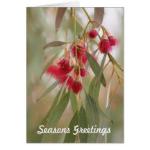 Fleurs de gomme carte