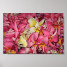 Fleurs de Lei pour Luau Affiches