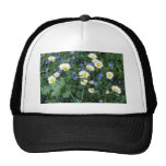 fleurs de marguerites blanches casquettes de camionneur