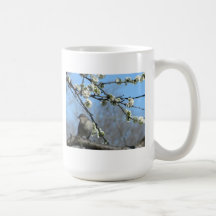Fleurs de moqueur et de prune tasse à café