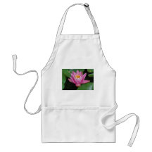 Fleurs de nénuphar dans un étang tablier