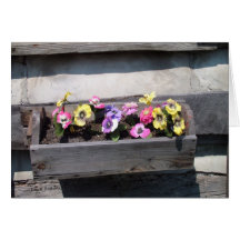 Fleurs de pays cartes de vœux
