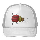 Fleurs des insectes "n" · Scarabée Casquette De Camionneur