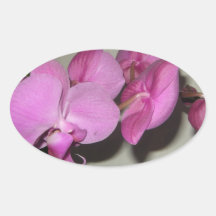 Fleurs	d'orchidée Autocollants