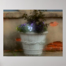 Fleurs du centre affiche