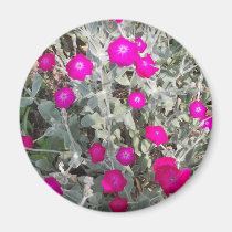Fleurs d'une visite magnets