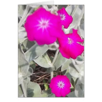 Fleurs d'une visite cartes