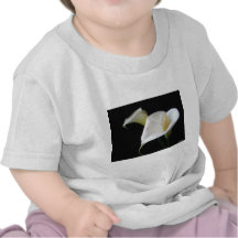 Fleurs élégantes 16 de zantedeschia t-shirts