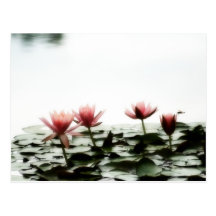 Fleurs et libellule roses de protection de lis carte postale