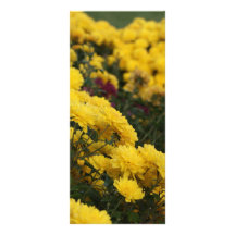 Fleurs jaunes carte double customisable