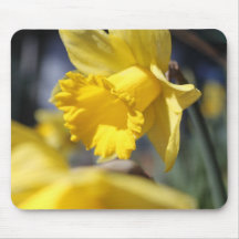 fleurs jaunes de jardin, jonquille tapis de souris