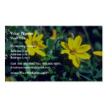 fleurs jaunes jaunes, forteresse de Sacsayhuaman l Carte De Visite
