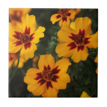 Fleurs lumineuses carreaux en céramique
