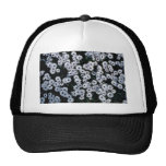 Fleurs Noir-Eyed de marguerites blanches Casquettes