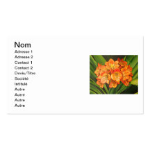 fleurs oranges cartes de visite personnelles